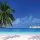 4-Night Bahamas Cruise | $199+ | Norwegian Cruise Line